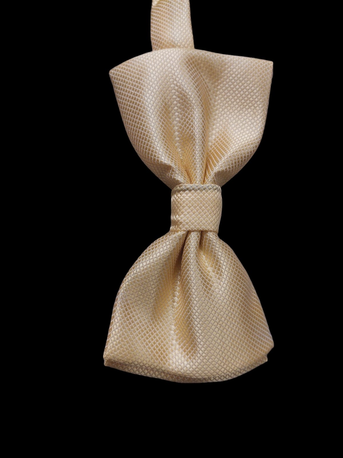 TEXTURED GOLDEN BOW TIE COMBO SET